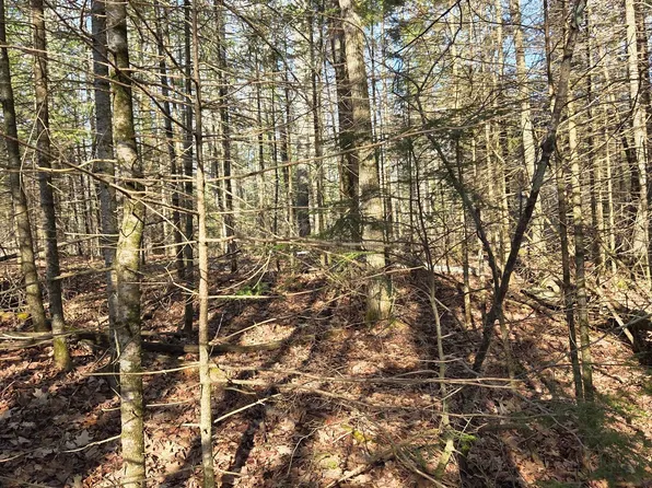Northwoods Ln Lot 2, Elcho, WI 54428