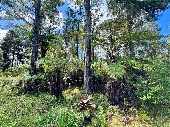 Punahele St Lot 35, Mountain View, HI 96771