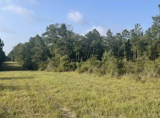 County Road 2846, Colmesneil, TX 75938