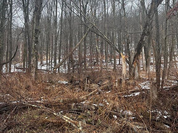 4th image of 922 Hawk Rd