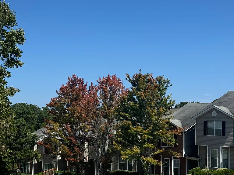 130 Hawkeye Ln — Photo 4