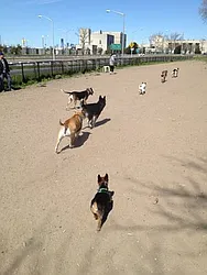 Sold by Metro Net Realty