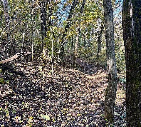 Backs to mountain bike trail