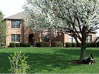 1st image of 97 Valley View Ct