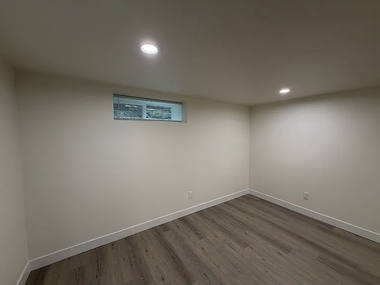 basement - family room