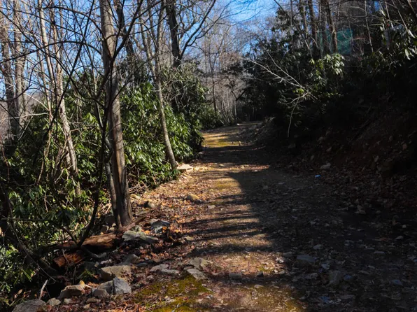 Williams Ln, Butler, TN 37640