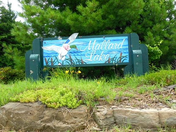 4th image of 376 Mallard Cir
