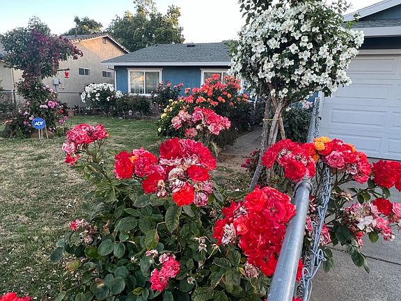 5th image of 7276 Palmer House Dr