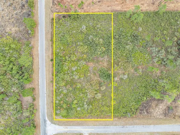 Honeysuckle St Lot 100, Eustis, FL 32736