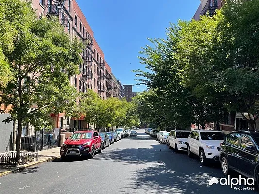 Rented by Alpha Properties NYC I LLC | media 1