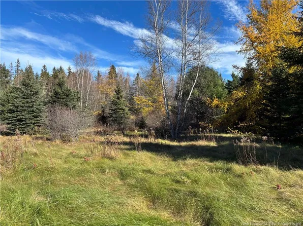 2110 Saint Charles Rd N, Saint Charles, NB E4W 4T9