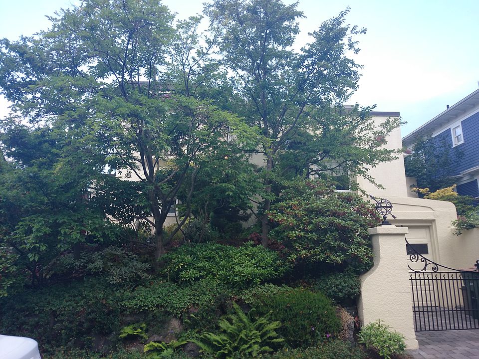 2nd image of 1615 9th Ave W