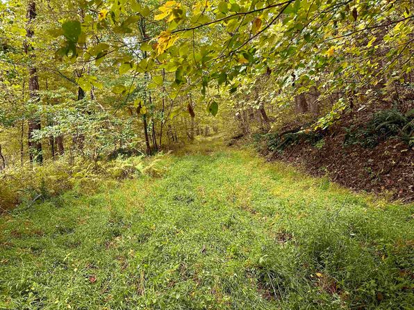 6 Deckers Trail Rd, Masontown, WV 26542
