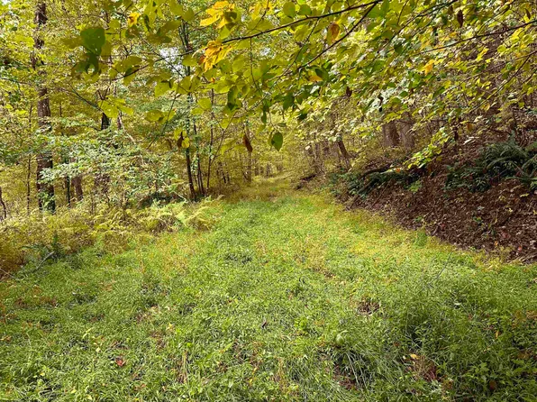 6 Deckers Trail Rd, Masontown, WV 26542