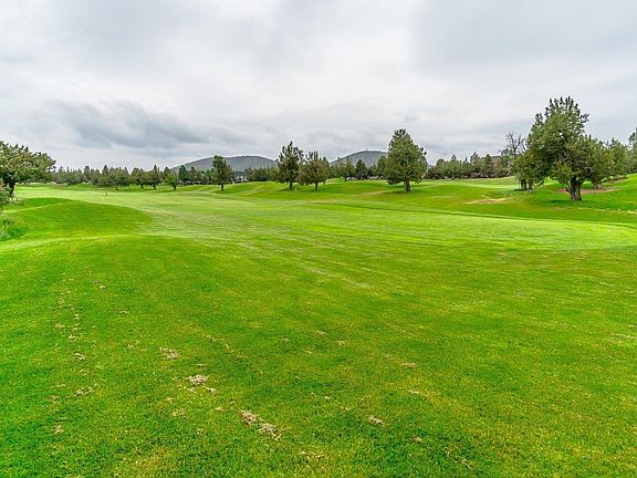 4th image of 729 Golden Pheasant Dr