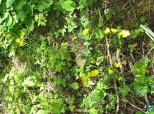 3 Taylor Ln, Grand Marais, MN 55604