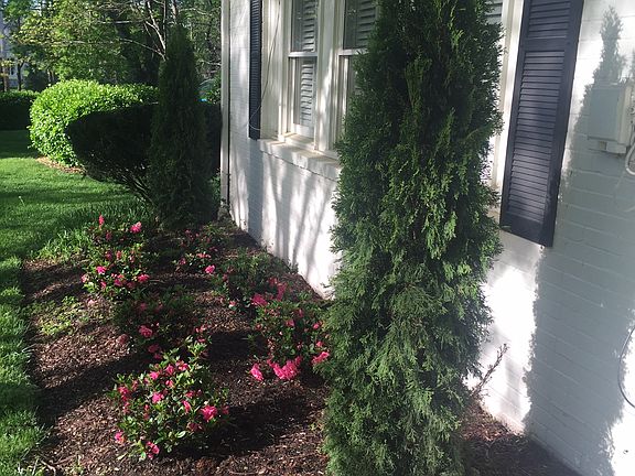 Flower bed