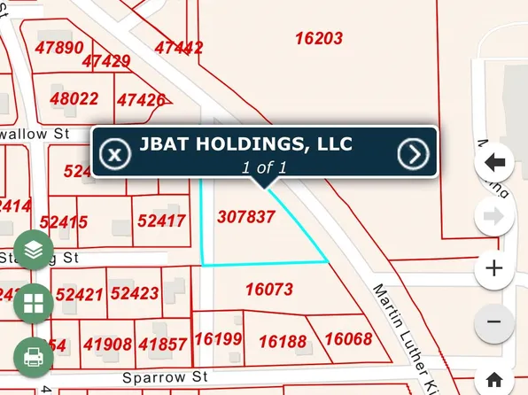 Martin Luther King, Orange, TX 77630