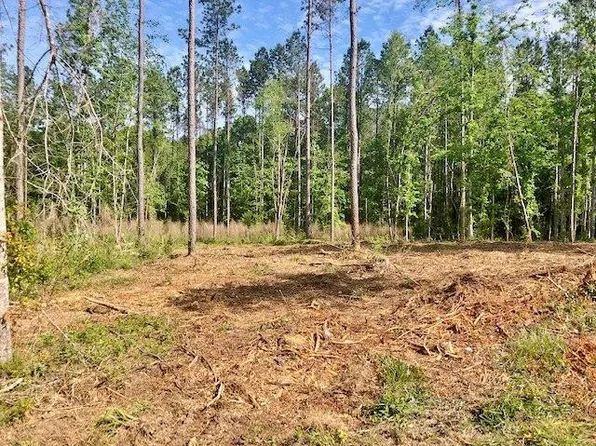 Carruth Dr, Summit, MS 39666