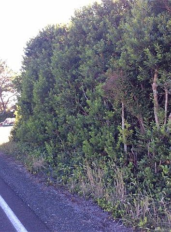 1st image of 442 Ocean Shores Blvd