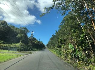 18 4008th #284-F, Volcano, HI 96785