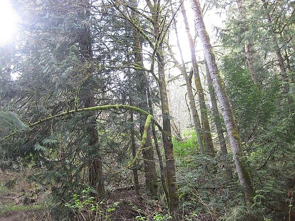 3rd image of 5125 280th Ln NE