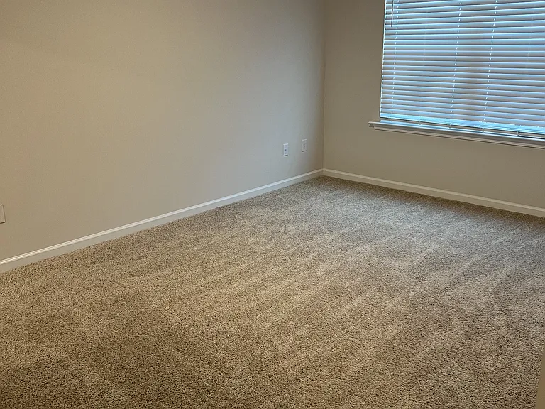 3000 Alibird Ln — Photo 13