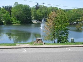 Pond View