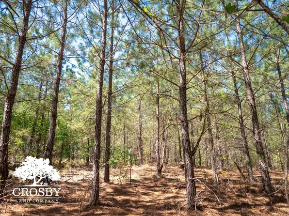 Grants Mill Rd W, Wallace, SC 29596