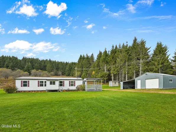 375 Baptist Church Road, CHARLOTTEVILLE, NY 12036