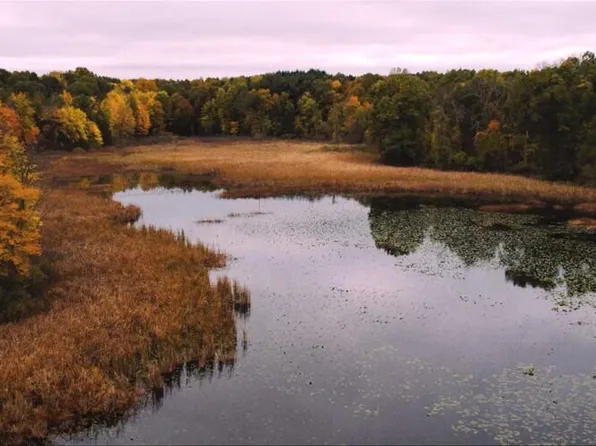 12555 N Sherman Lake Dr, Richland, MI 49083