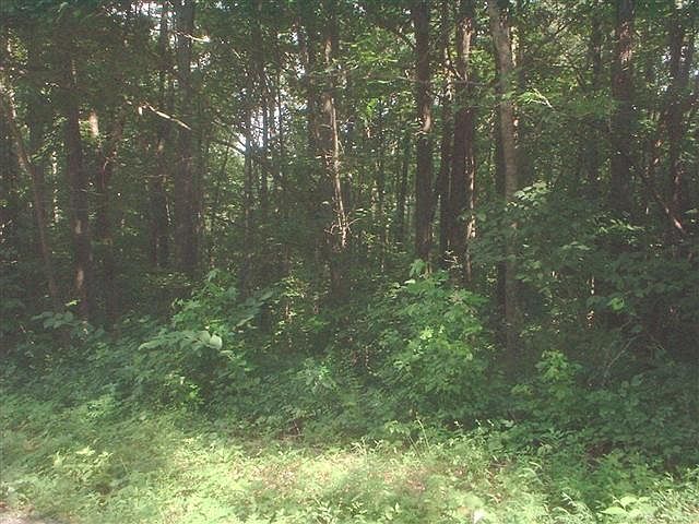 2nd image of 0 Hickman Shores Rd Lot 200