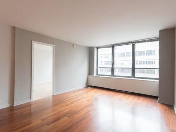 4th image of 222 E Pearson St APT 2206