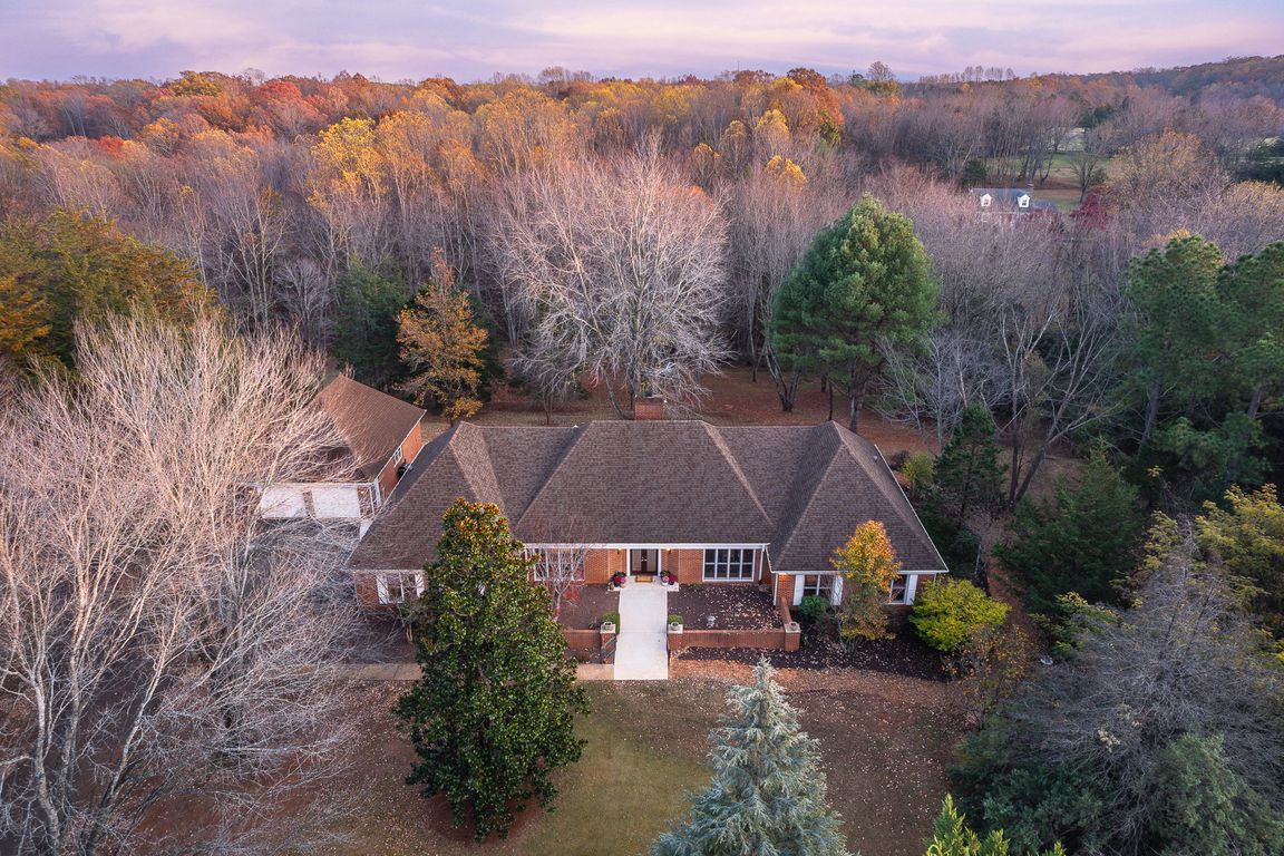 next background image