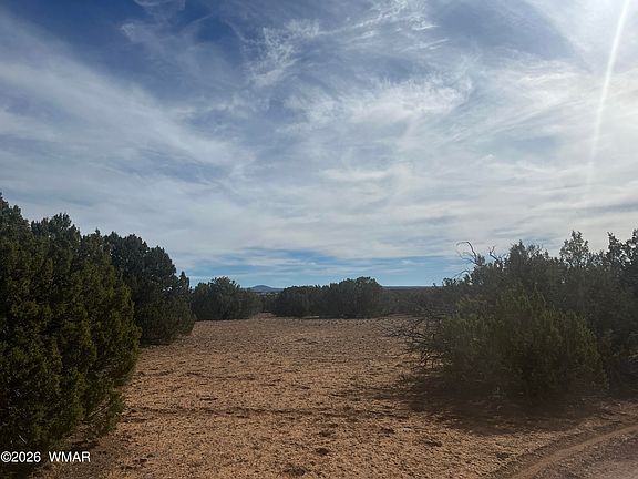 5th image of 8526 Lake Ridge Rd