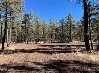 0 LOT C Gold Mine Dr, Lakeside, AZ 85929