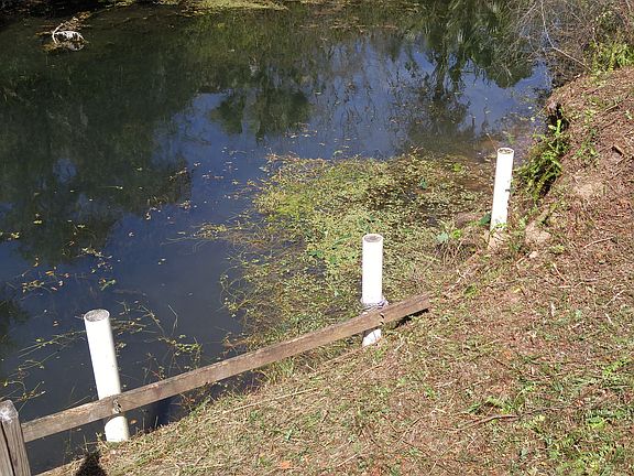 4th image of NE 97th St Lot 4