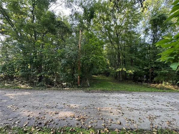 Antone Ave, Tallmadge, OH 44278