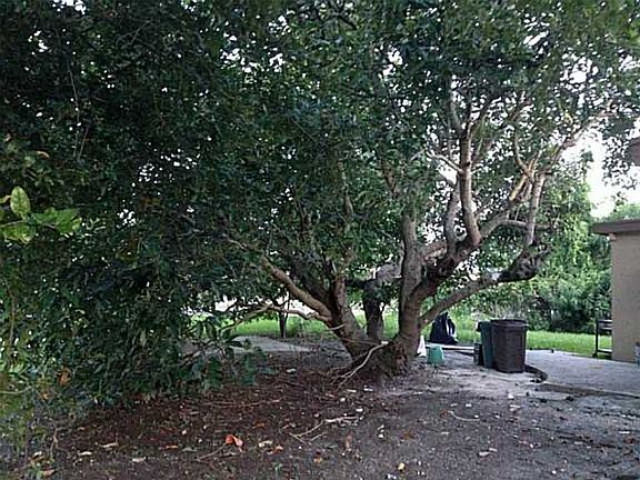5th image of 19835 NE 12th Ave