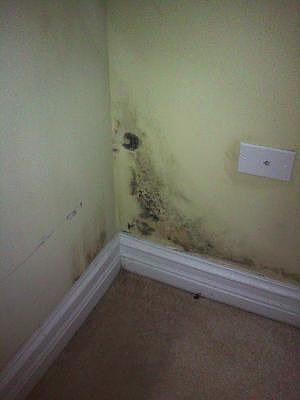 5th image of 2144 W Devon Ave APT 4E