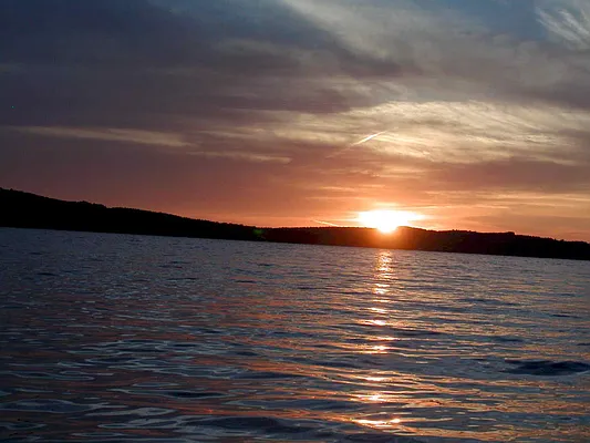 Rented by Douglas Elliman | media 8