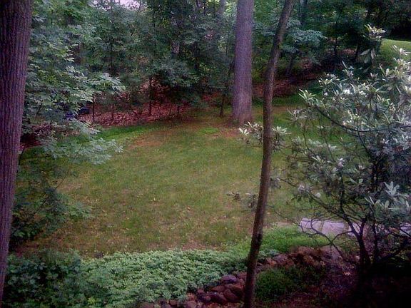 Side Yard I - Deck View