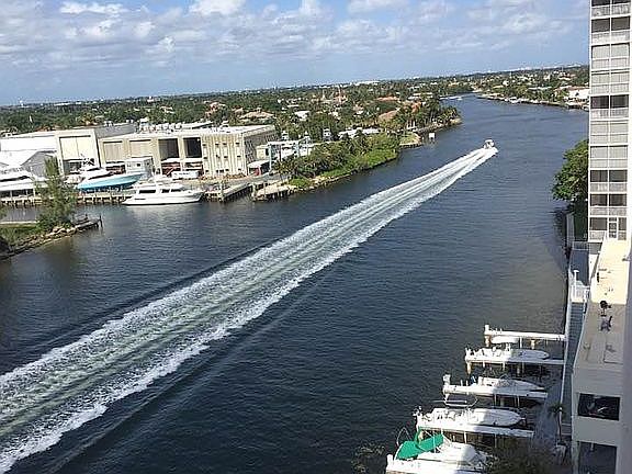 Backyard looking North