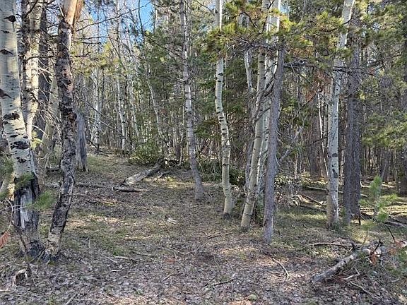 2nd image of 6.44 Acres Trail Rd