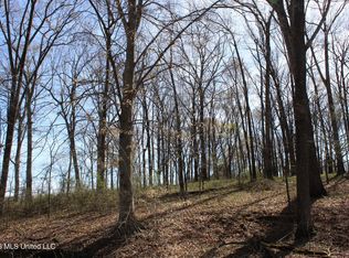 9 Barton Desoto Rd, Olive Branch, MS 38654