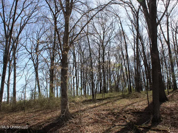 9 Barton Desoto Rd, Olive Branch, MS 38654