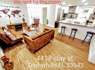 4417 Clay St, Zephyrhills, FL 33542