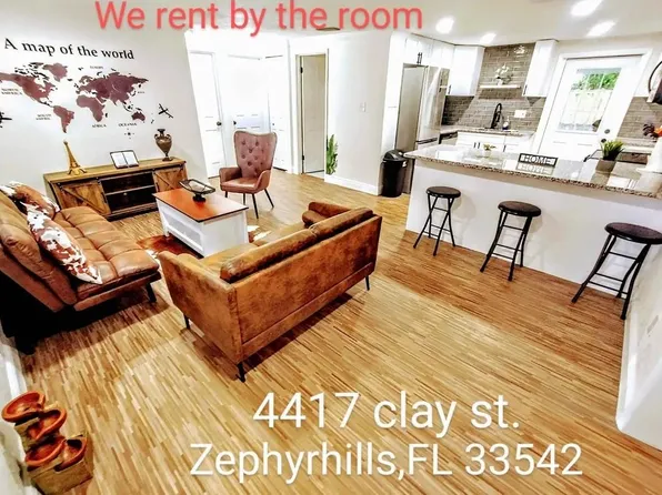 4417 Clay St, Zephyrhills, FL 33542