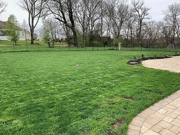 Flat, fenced back yard