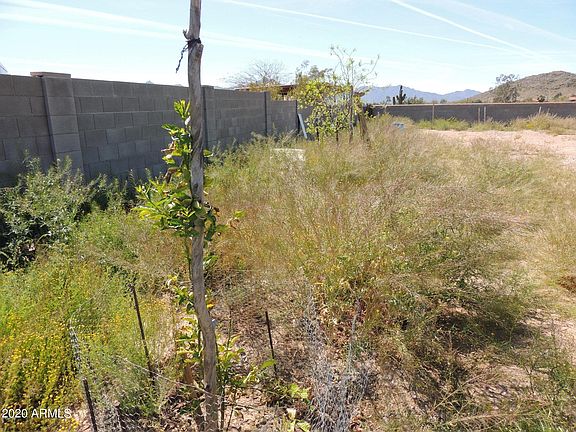 4th image of 11305 S 39th Ave